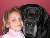Deutsche Dogge Foto (ID 37782) Deutsche Dogge Hund