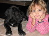 Deutsche Dogge Foto: Meggy und Bebe (ID 30580) Deutsche Dogge Hund