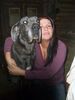Deutsche Dogge Foto: SAM und Julia! (ID 41333) Deutsche Dogge Hund