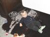 Deutsche Dogge Foto: 2 Babies (ID 35018) Deutsche Dogge Hund