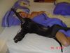 Deutsche Dogge Foto: Atlanta 5 mon.alt im Bett bei meinem Freund (ID 12416) Deutsche Dogge Hund