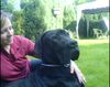 Deutsche Dogge Foto: Yvonne und Bebe (ID 33170) Deutsche Dogge Hund