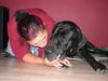 Deutsche Dogge Foto: Hand in Hand durchs schöne land! (ID 36929) Deutsche Dogge Hund