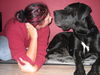 Deutsche Dogge Foto: Diana&Gismo (ID 36927) Deutsche Dogge Hund