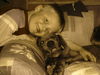 Deutsche Dogge Foto: Dustin und Arthur sind echte Kumpel (ID 37647) Deutsche Dogge Hund