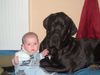 Deutsche Dogge Foto: Mit unserer Tochter Jaqueline (6 Monate) (ID 21619) Deutsche Dogge Hund