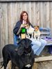 Deutsche Dogge Foto: INA mit Freundinnen (ID 19703) Deutsche Dogge Hund