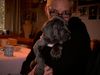 Deutsche Dogge Foto: Bald geht's nach Hause... (ID 5008) Deutsche Dogge Hund