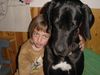 Deutsche Dogge Foto: Unsere INA (ID 5577) Deutsche Dogge Hund