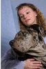 Deutsche Dogge Foto: Sethos und Frauchen (ID 3584) Deutsche Dogge Hund