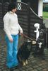 Deutsche Dogge Foto: mit fREUND (ID 9608) Deutsche Dogge Hund