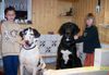 Deutsche Dogge Foto: Geschwisterpaare, Sören & Maren mit Max & Montana im Januar 2005 (ID 18679) Deutsche Dogge Hund