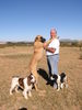 Deutsche Dogge Foto: Am. Ch. Magnum vom King Charles (ID 36174) Deutsche Dogge Hund