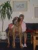 Deutsche Dogge Foto: Douglas und Gaby:)) (ID 12374) Deutsche Dogge Hund