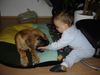 Deutsche Dogge Foto: Passt die da rein? (ID 42444) Deutsche Dogge Hund