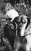 Deutsche Dogge Foto: gelbe Dogge Biene (ID 42715) Deutsche Dogge Hund