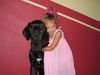 Deutsche Dogge Foto: Meggy und Bebe (ID 33171) Deutsche Dogge Hund
