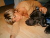 Deutsche Dogge Foto (ID 36386) Deutsche Dogge Hund