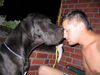 Deutsche Dogge Foto (ID 33130) Deutsche Dogge Hund