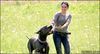 Deutsche Dogge Foto: Sanfter Riese Kai (ID 10133) Deutsche Dogge Hund