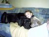 Deutsche Dogge Foto: Buffalo&Jamie (ID 12522) Deutsche Dogge Hund