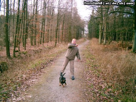 Deutscher Jagdterrier Hunde Foto 8006 Deutscher Jagdterrier Apollo