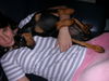 Deutscher Pinscher Foto: Quentin13 Wo. mit Frauchen Nr. 2 (ID 39535) Deutscher Pinscher Hund