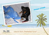 Deutscher Pinscher Foto: Mad Max Lucca von der Rheinebene im Juli 2008 (ID 42561) Deutscher Pinscher Hund