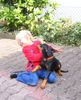 Deutscher Pinscher Foto: Seline komm knutschen ... hab dich ganz doll lieb ! (ID 39457) Deutscher Pinscher Hund