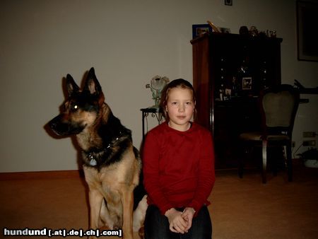 Deutscher Schäferhund Hunde Foto 8290 Deutscher Schäferhund Mein bester Freund und ich