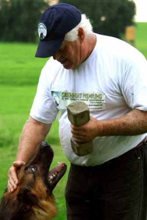 Deutscher Schäferhund Hunde Foto 28400 in höherer Auflösung ansehen Deutscher Schäferhund Jetzt erhältlich Trainingstage bei Franz Hawelka unter: www.john-hold.com