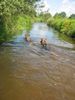 Deutscher Schäferhund Foto: Schwimmen ist so toll! (ID 16958) Deutscher Schäferhund Hund