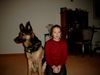 Deutscher Schäferhund Hund