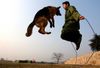 Deutscher Schäferhund Foto: Wir sind die besten Seiltänzer (ID 31098) Deutscher Schäferhund Hund