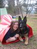 Deutscher Schäferhund Foto: Indira von der Bachhöle (ID 24832) Deutscher Schäferhund Hund