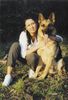 Deutscher Schäferhund Foto: aero (ID 4415) Deutscher Schäferhund Hund