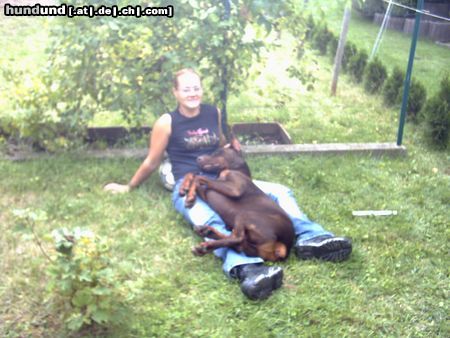 Dobermann Hunde Foto 18105 Dobermann Fußball spielen ist echt anstrengend