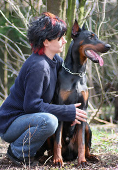 Dobermann Hunde Foto 27600 in höherer Auflösung ansehen Dobermann mylord und ich