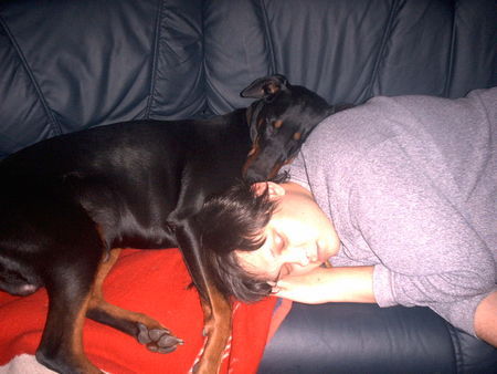 Dobermann Hunde Foto 33947 in höherer Auflösung ansehen Dobermann Rocky schläft