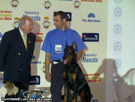 Dobermann Hunde Foto 12128 Dobermann ALPHA BEST of MILANO 8 Monate alt, CACIB Salzburg 2004: Best Dobermann Puppy und BEST PUPPY (BIS) of CACIB SALZBURG 2004 EURO DOG SHOW 2004: Best Dobermann Puppy, Best Puppy of Second Group und BEST PUPPY OF EURO DOG SHOW BARCELONA 2004