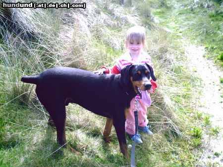 Dobermann Hunde Foto 21825 Dobermann Mikey und Jil