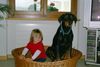 Dobermann Foto: Mozart und Sinah im Bettli (ID 22014) Dobermann Hund