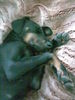 Dobermann Foto: kleiner Romeo 14 Wochen (ID 38562) Dobermann Hund
