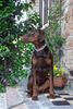 Dobermann Foto: Caramel auf Reisen in der Toscana (ID 31964) Dobermann Hund