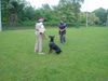 Dobermann Foto: Qui Vive - Schutz (ID 11589) Dobermann Hund
