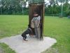 Dobermann Foto: Qui Vive - Schutz (ID 11590) Dobermann Hund