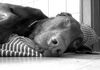 Dobermann Foto: manchmal schlafen auch dobis (ID 38359) Dobermann Hund