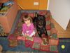 Dobermann Foto: meine schätze (ID 17515) Dobermann Hund