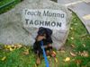 Dobermann Foto: Mikey grüßt alle artgenossen und besitzter (ID 16323) Dobermann Hund