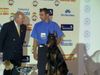 Dobermann Foto: ALPHA BEST of MILANO 8 Monate alt, CACIB Salzburg 2004: Best Dobermann Puppy und BEST PUPPY (BIS) of CACIB SALZBURG 2004 EURO DOG SHOW 2004: Best Dobermann Puppy, Best Puppy of Second Group und BEST PUPPY OF EURO DOG SHOW BARCELONA 2004 (ID 12128) Dobermann Hund